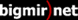 bigmir)net TOP 100